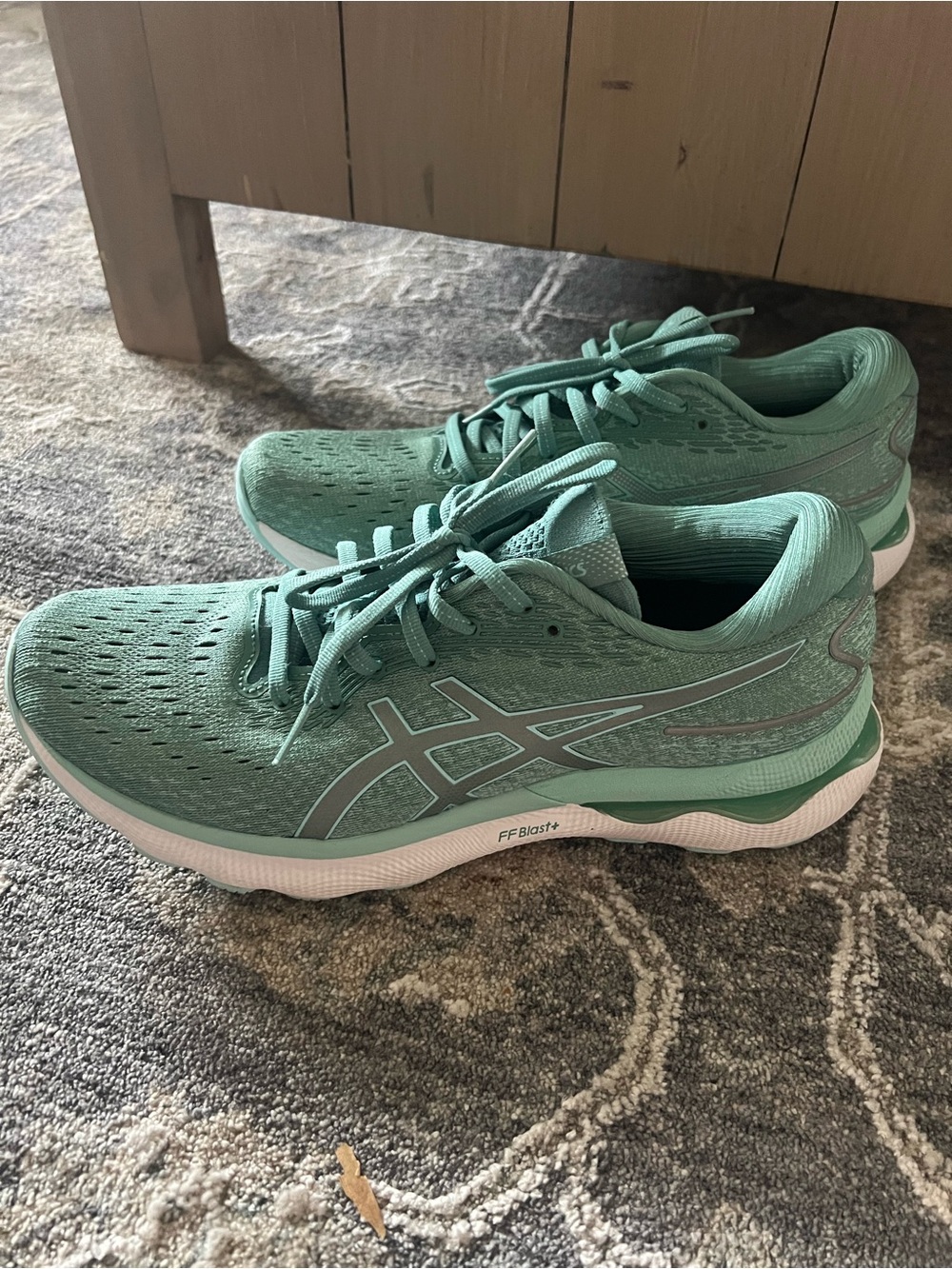 Worn Once!! Asics Gel Nimbus 24 size 10.5